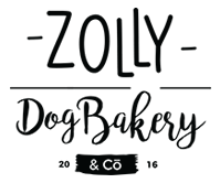 logo_zolly-ico